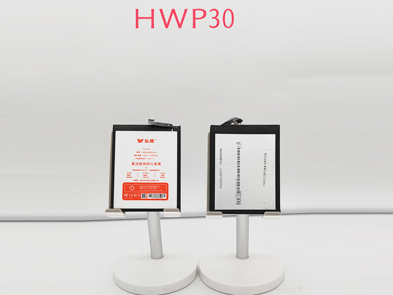 hwp30